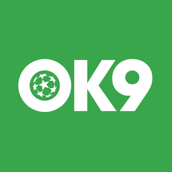 LOGO 99okvin